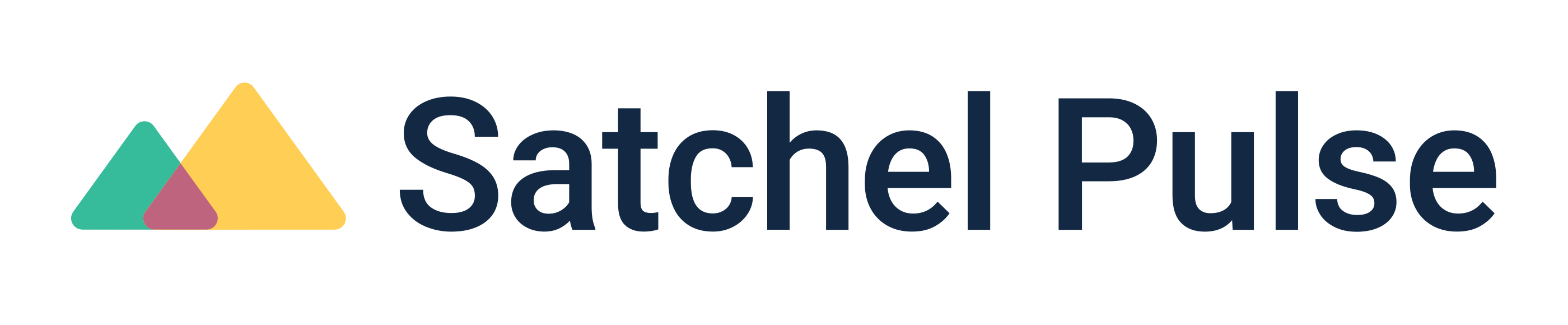 satchel-pulse-logo11