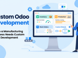 Custom Odoo Development Dashboard